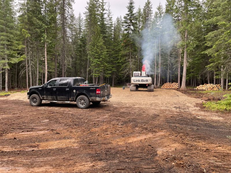 tree clearing service priest lake