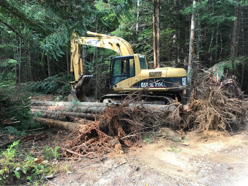 tree removal service priest lake